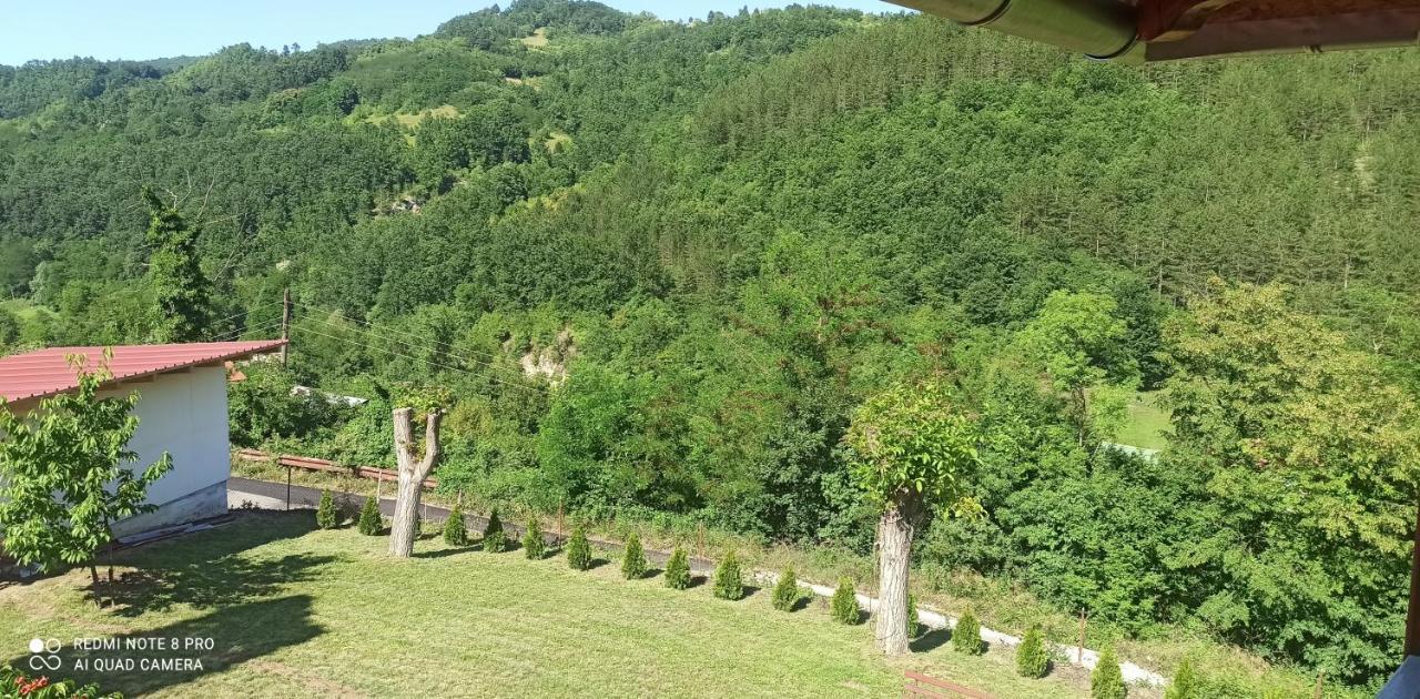 Guest House Vila Aleksa Bogutovac Zewnętrze zdjęcie