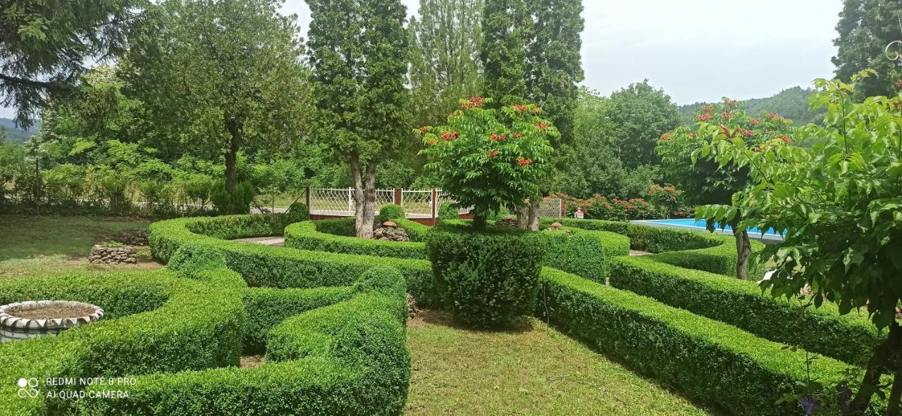 Guest House Vila Aleksa Bogutovac Zewnętrze zdjęcie