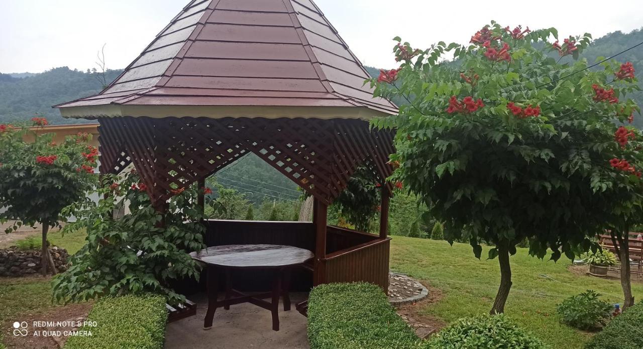 Guest House Vila Aleksa Bogutovac Zewnętrze zdjęcie
