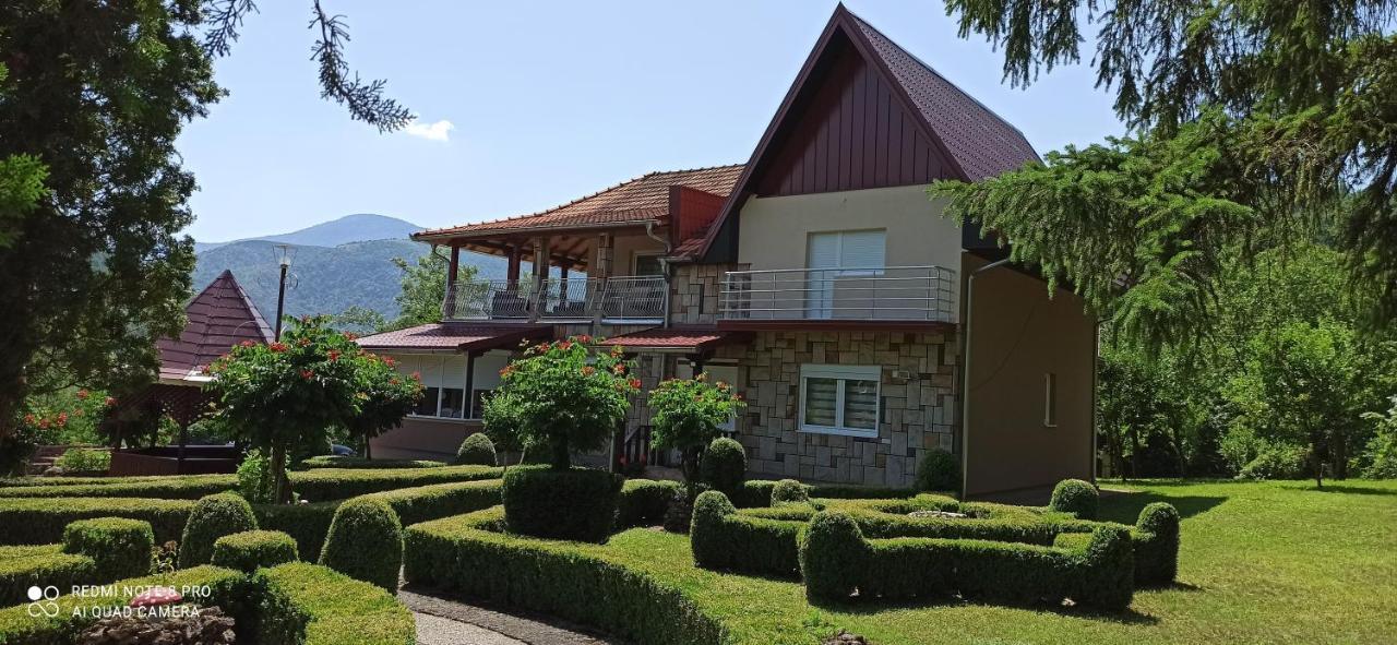 Guest House Vila Aleksa Bogutovac Zewnętrze zdjęcie