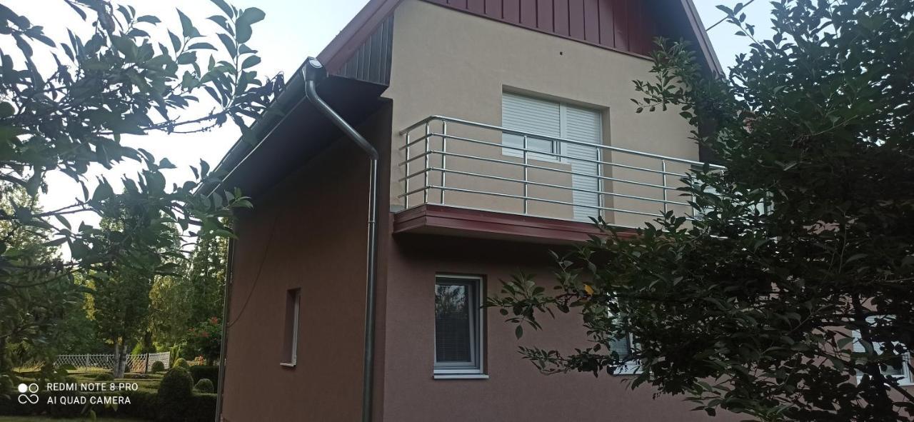 Guest House Vila Aleksa Bogutovac Zewnętrze zdjęcie